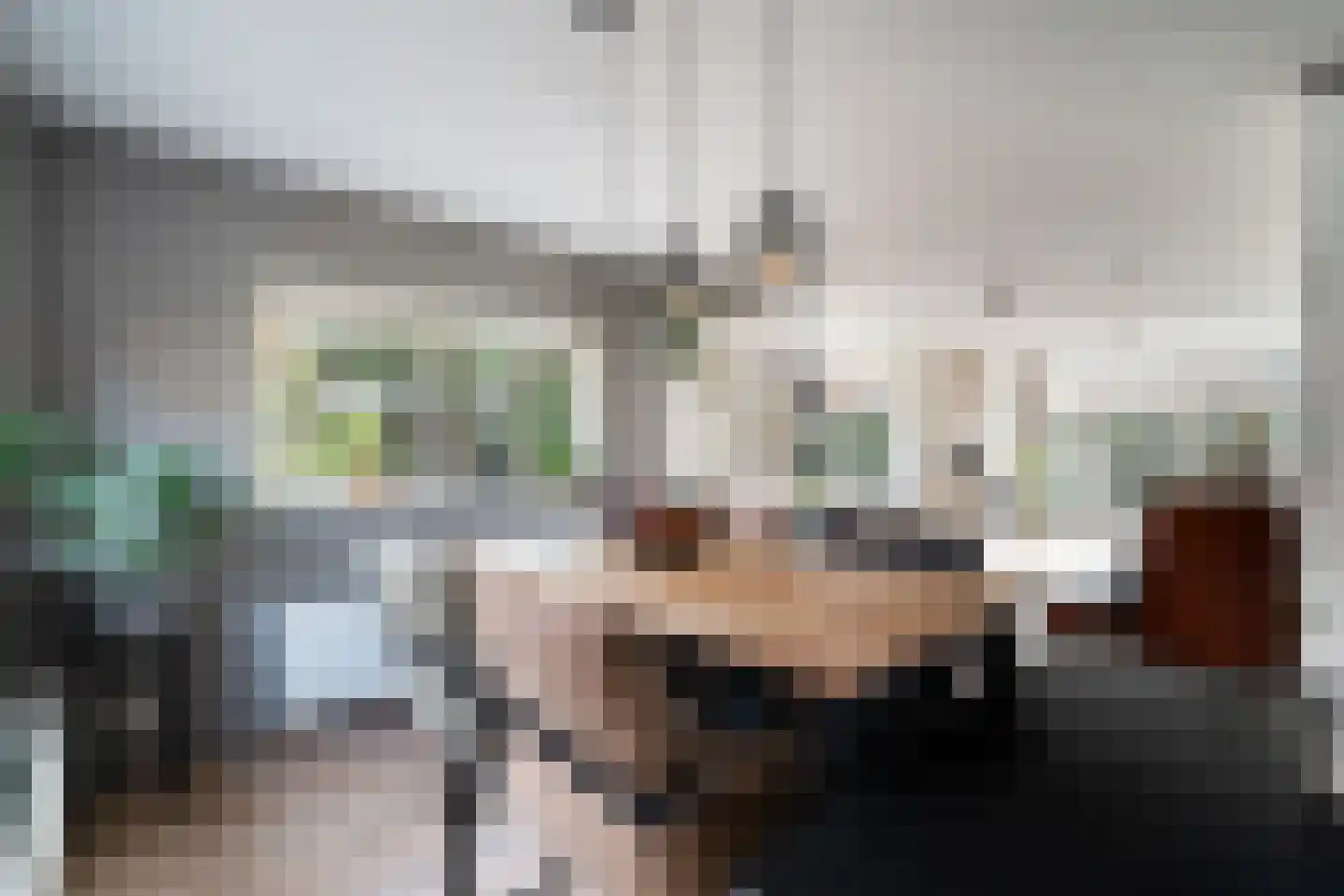 Mauritius 8 Zoetermeer thumbnail 33