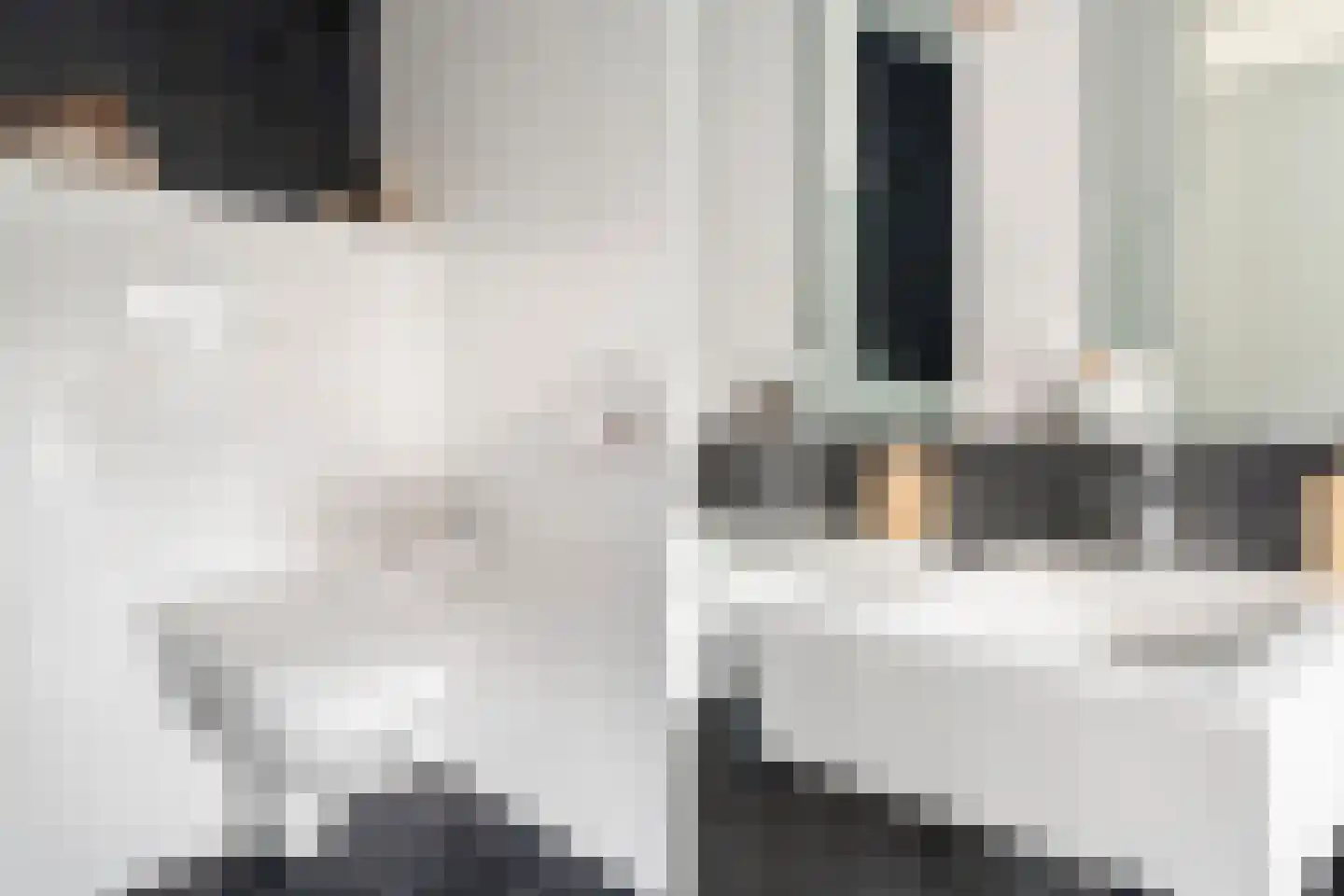 Mauritius 8 Zoetermeer thumbnail 44