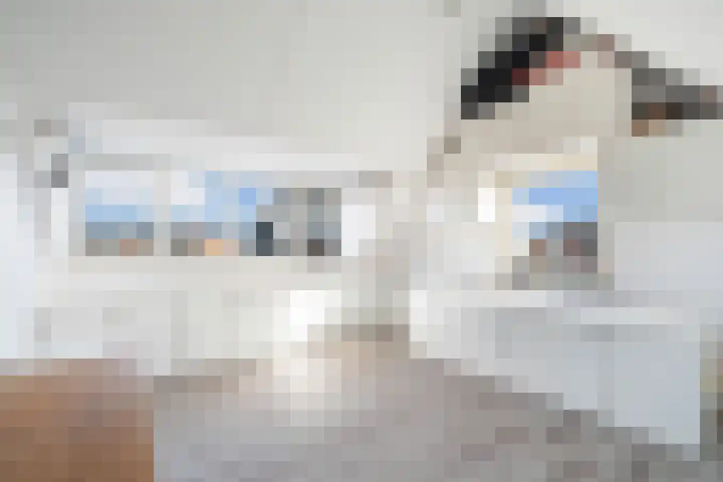 Mauritius 8 Zoetermeer thumbnail 59