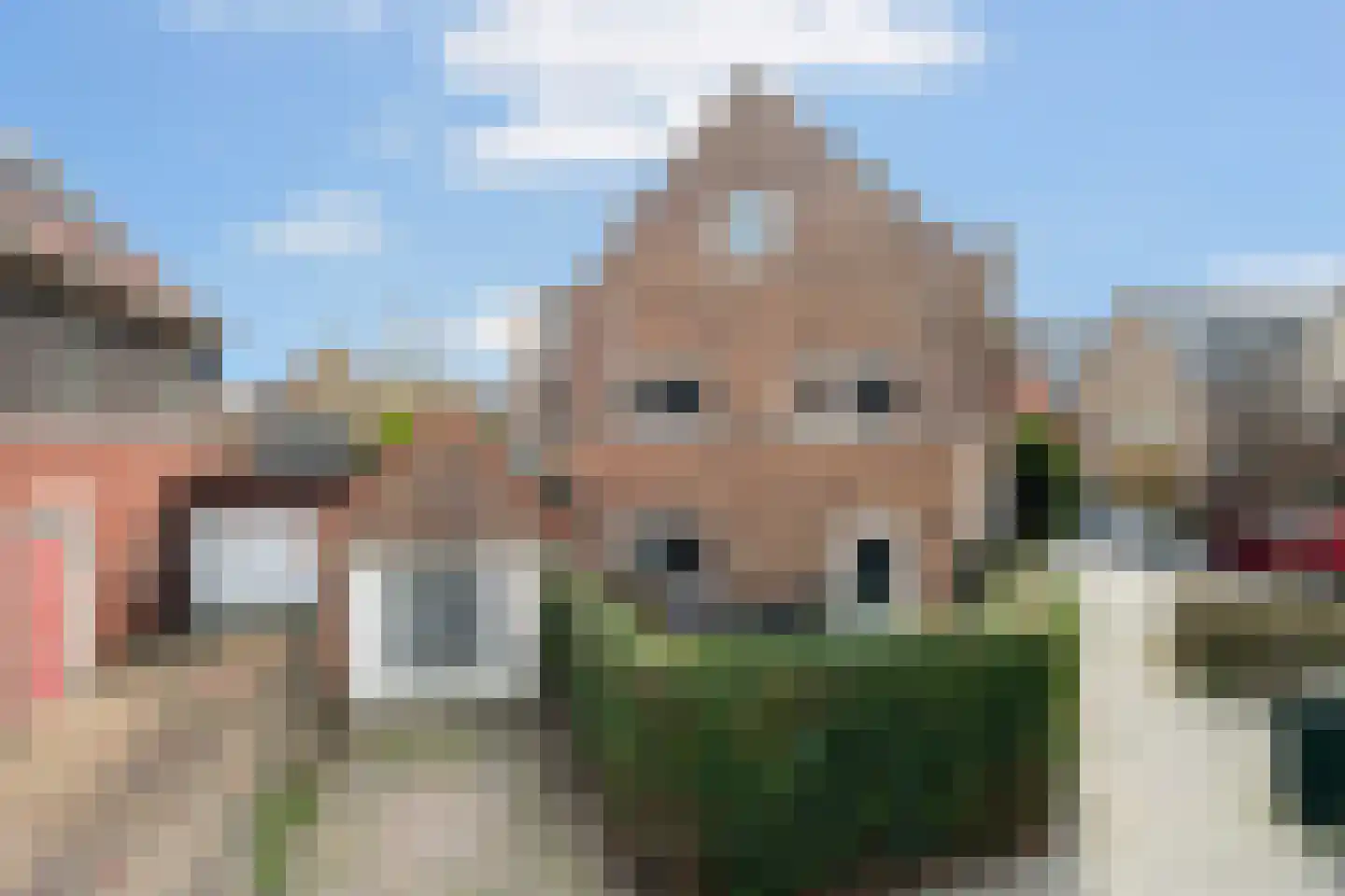Mauritius 8 Zoetermeer thumbnail 6