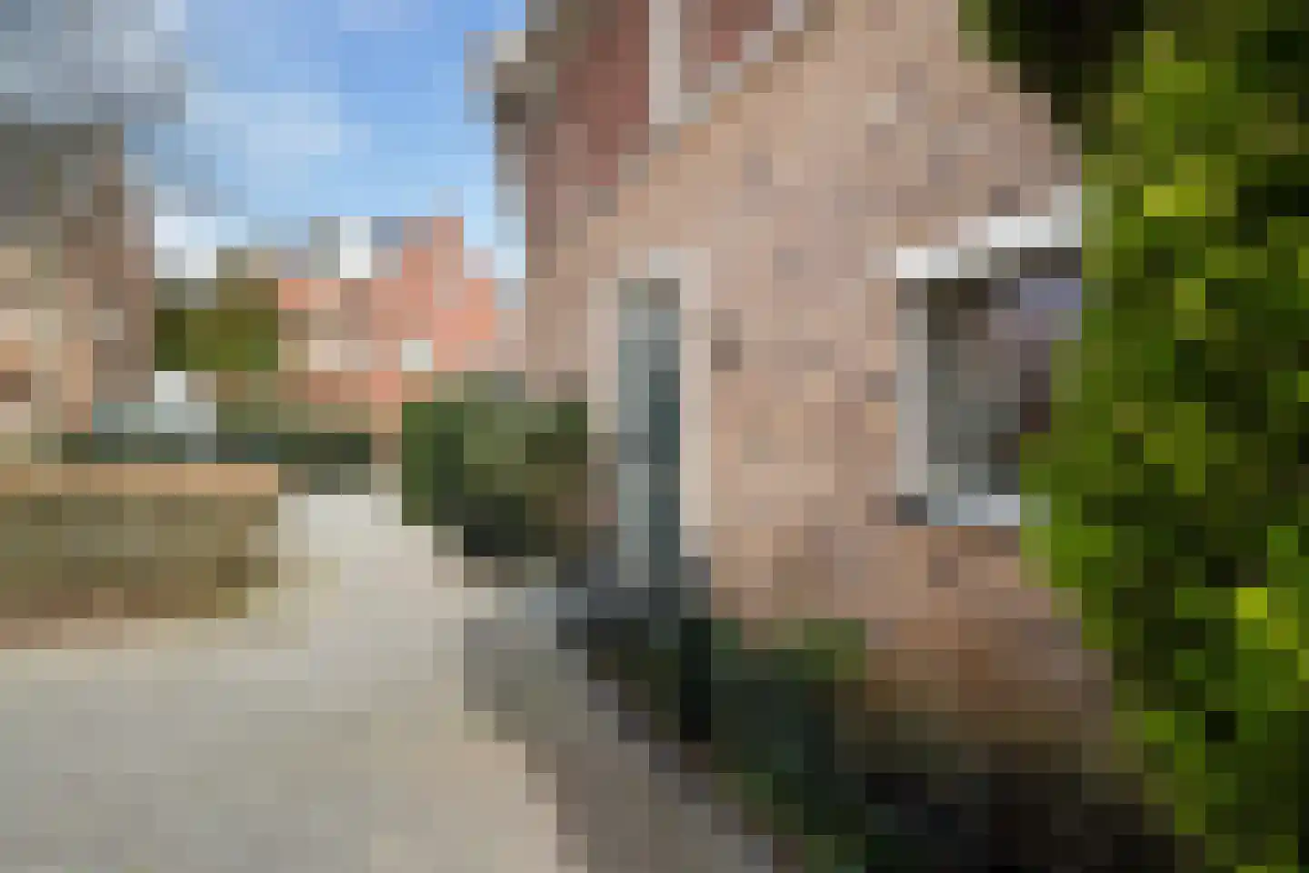 Mauritius 8 Zoetermeer thumbnail 63