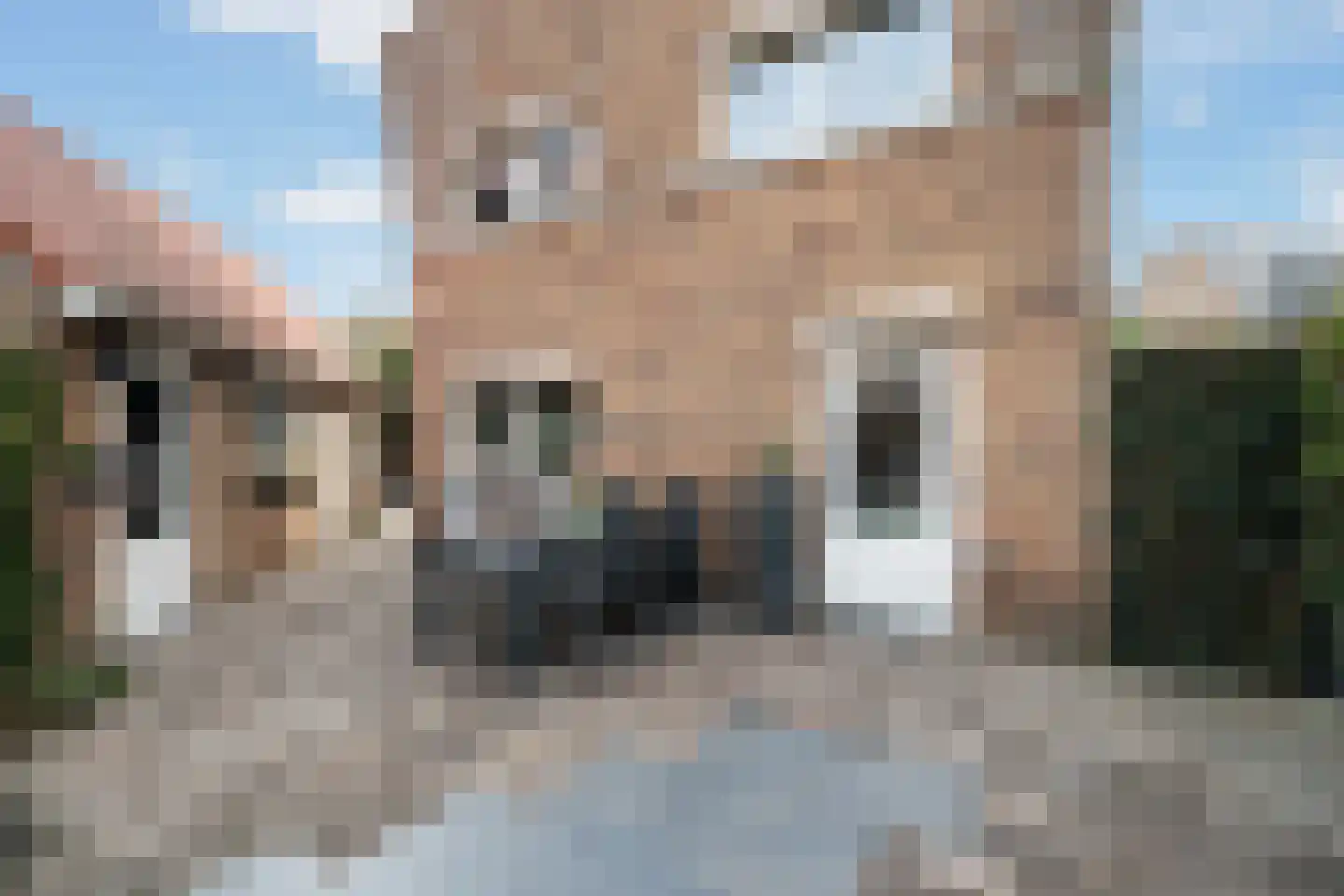 Mauritius 8 Zoetermeer thumbnail 67