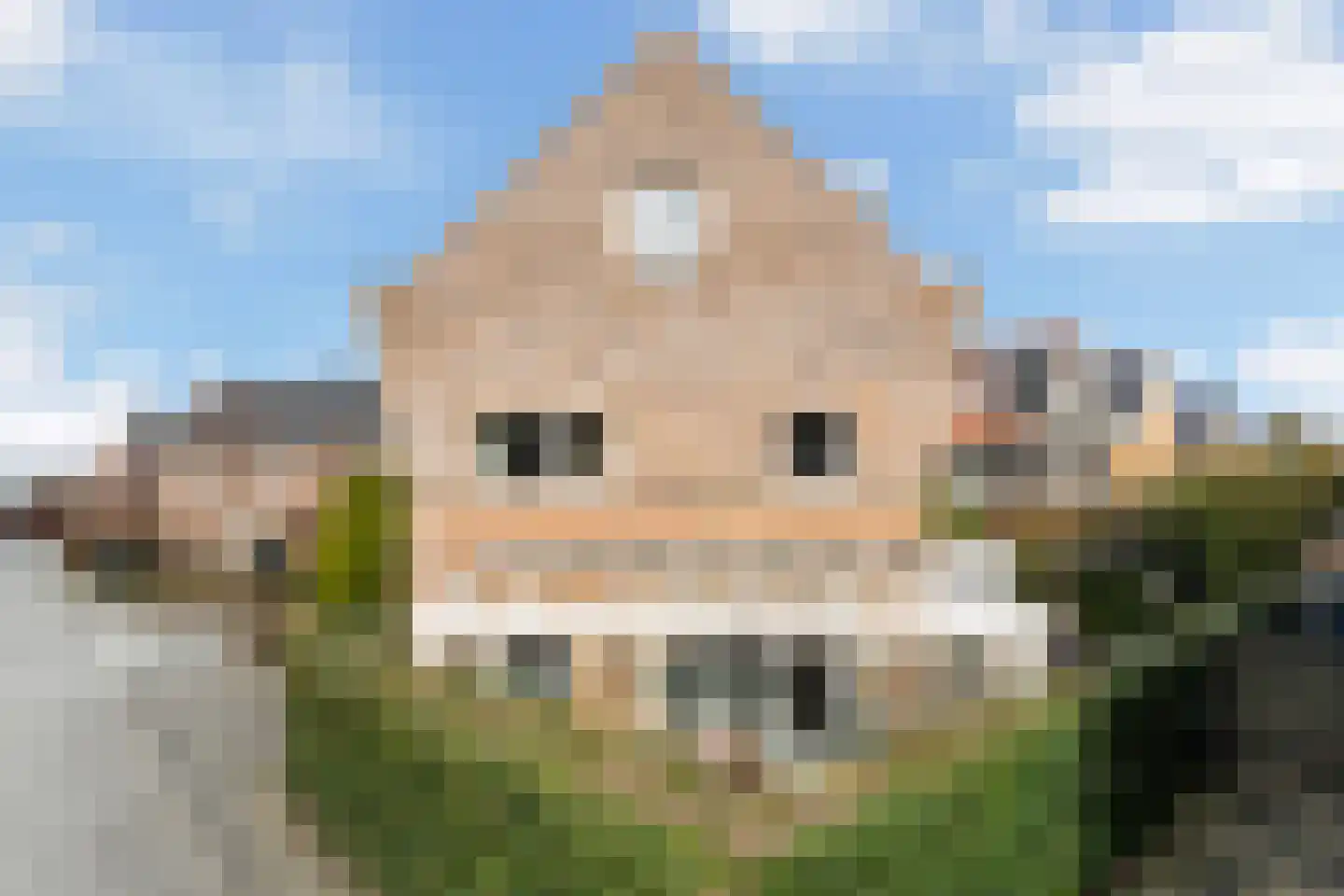 Mauritius 8 Zoetermeer thumbnail 72