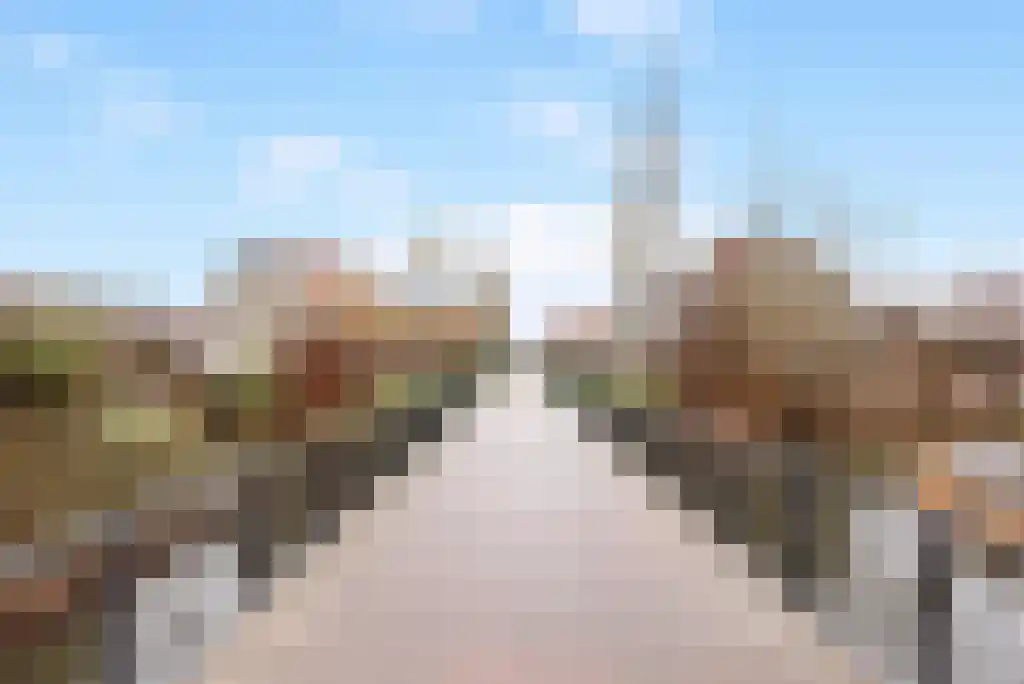 Mauritius 8 Zoetermeer thumbnail 76