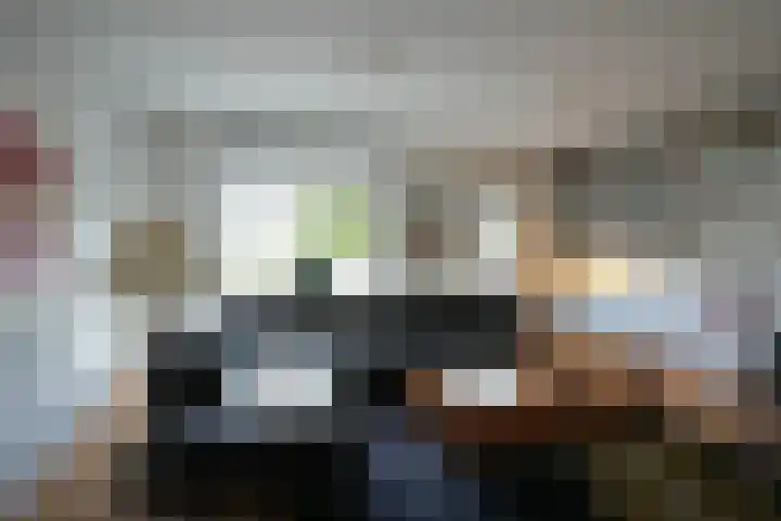 Mauritiussingel 56 Schin op Geul thumbnail 14