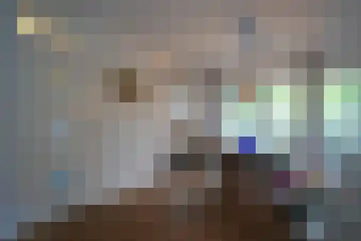 Mauritiussingel 56 Schin op Geul thumbnail 17