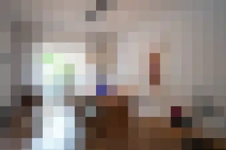 Mauritiussingel 56 Schin op Geul thumbnail 18