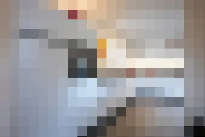 Mauritiussingel 56 Schin op Geul thumbnail 21