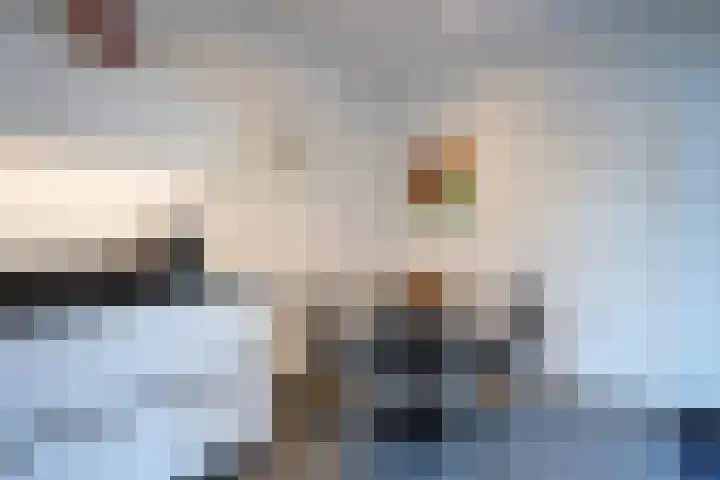 Mauritiussingel 56 Schin op Geul thumbnail 24