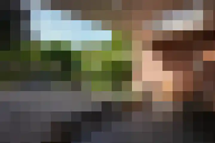 Mauritiussingel 56 Schin op Geul thumbnail 28