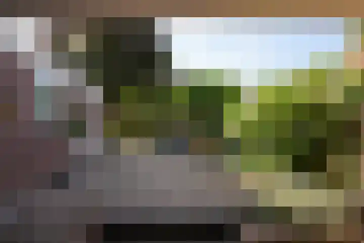 Mauritiussingel 56 Schin op Geul thumbnail 29