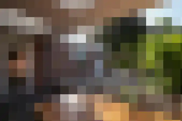 Mauritiussingel 56 Schin op Geul thumbnail 30