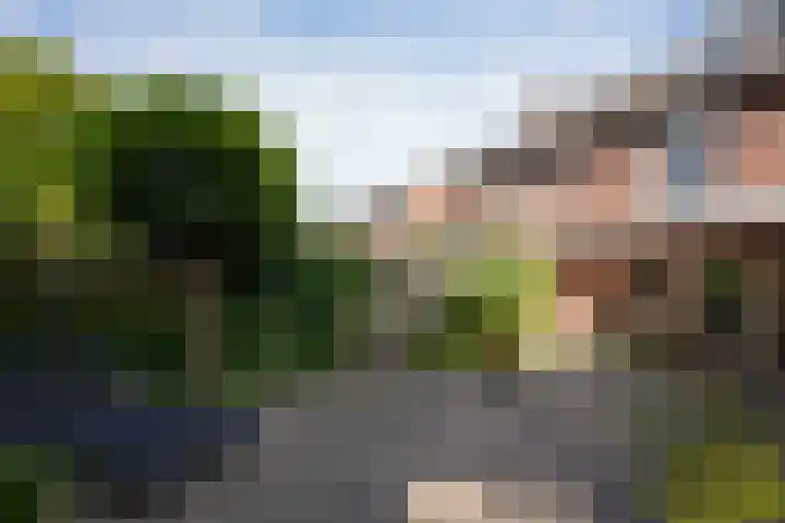 Mauritiussingel 56 Schin op Geul thumbnail 32