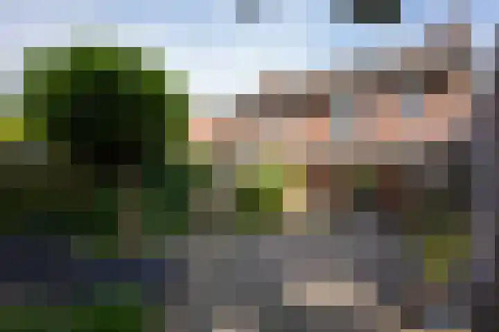 Mauritiussingel 56 Schin op Geul thumbnail 33