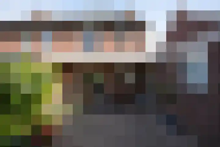 Mauritiussingel 56 Schin op Geul thumbnail 34