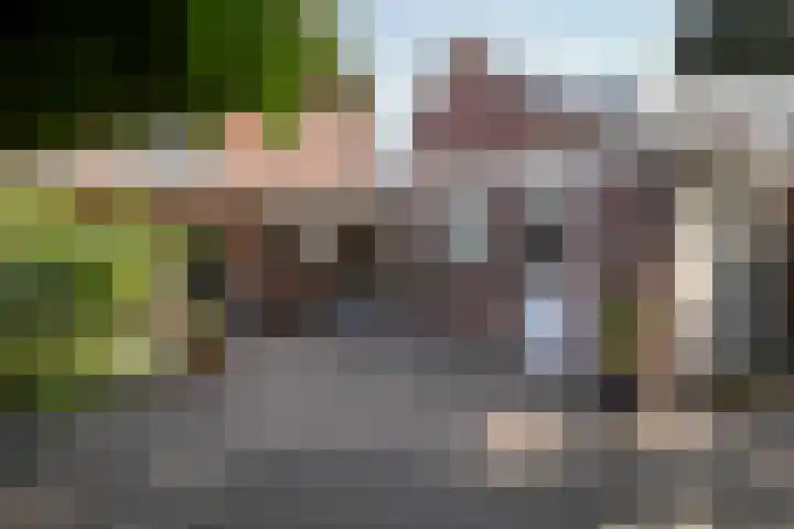 Mauritiussingel 56 Schin op Geul thumbnail 36