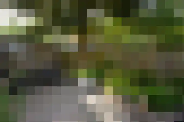 Mauritiussingel 56 Schin op Geul thumbnail 38