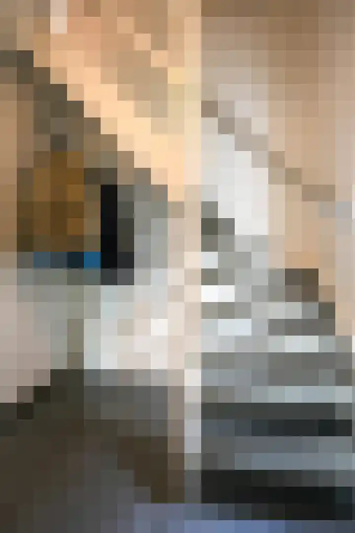 Mauritiussingel 56 Schin op Geul thumbnail 39