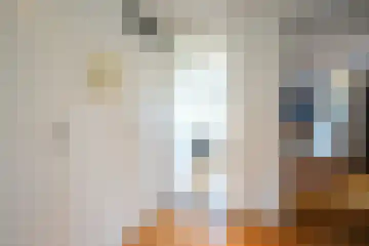 Mauritiussingel 56 Schin op Geul thumbnail 40