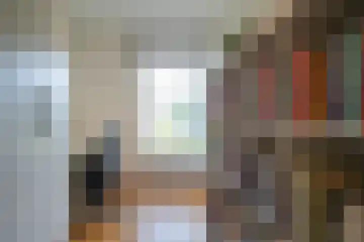 Mauritiussingel 56 Schin op Geul thumbnail 41