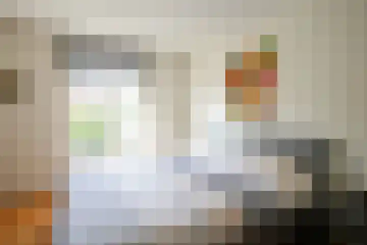Mauritiussingel 56 Schin op Geul thumbnail 43