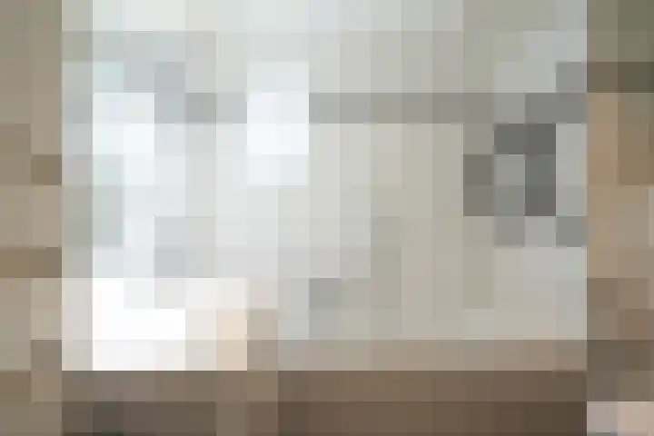 Mauritiussingel 56 Schin op Geul thumbnail 45