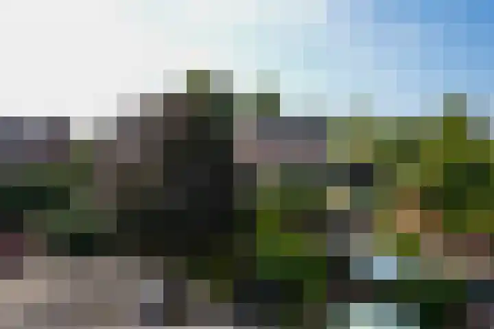 Mauritiussingel 56 Schin op Geul thumbnail 52