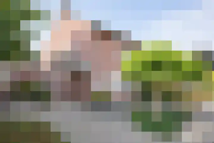Mauritiussingel 56 Schin op Geul thumbnail 8