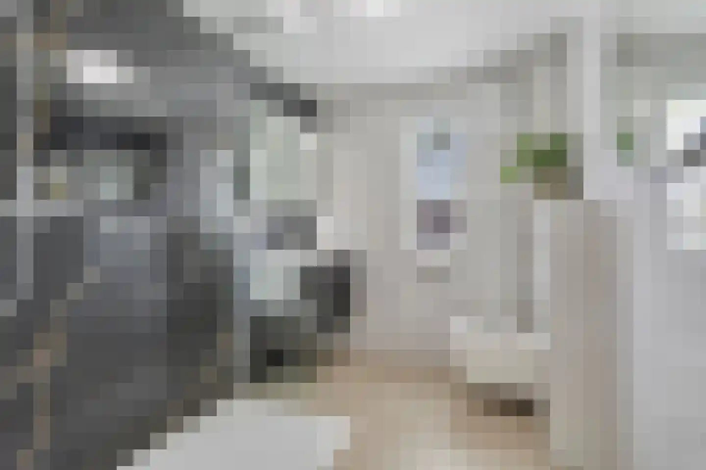 Mauritiusstraat 1 Almere thumbnail 24