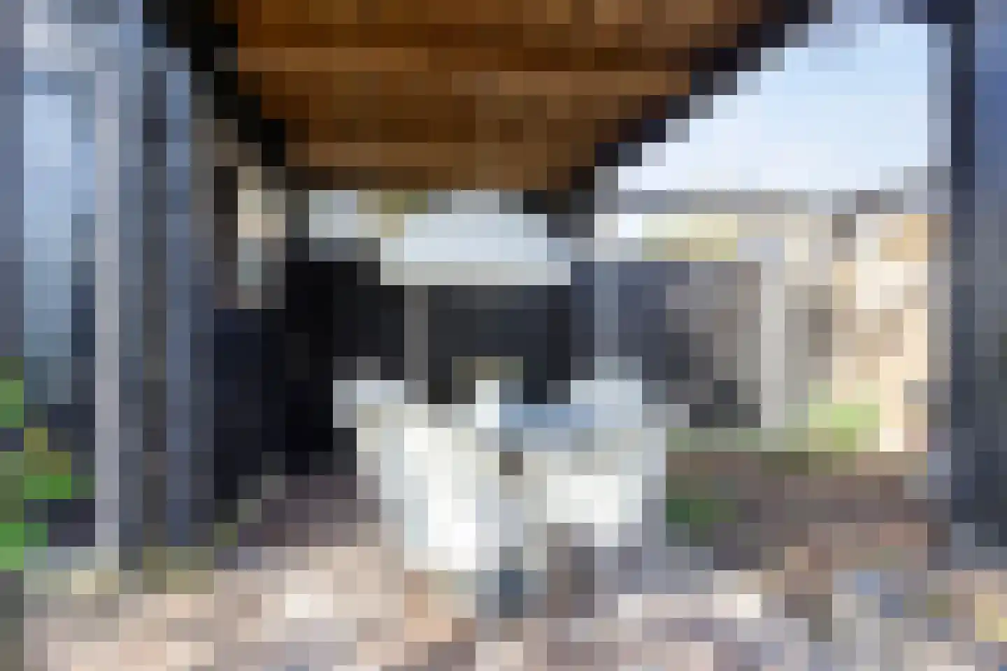 Mauritiusstraat 1 Almere thumbnail 26