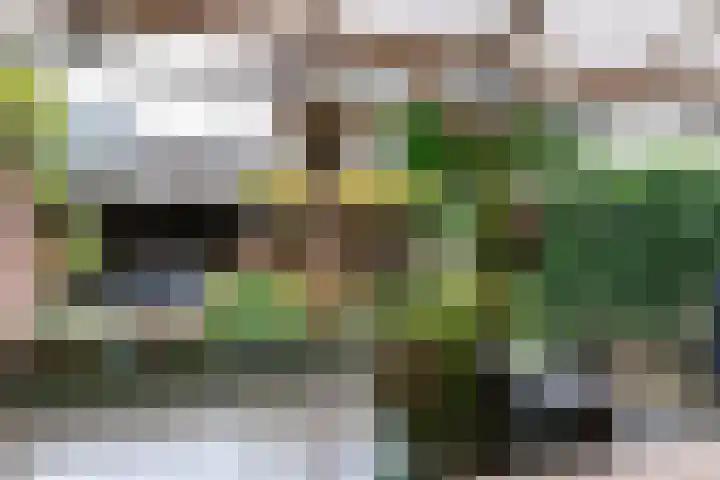 Mauritiusstraat 17 Rheden thumbnail 21