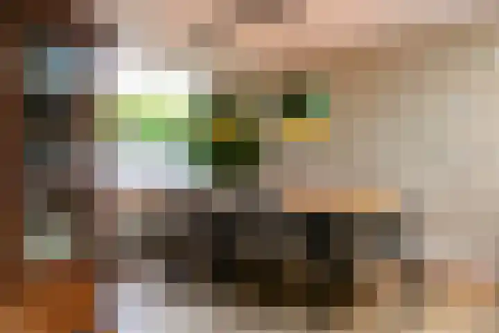 Mauritiusstraat 17 Rheden thumbnail 7