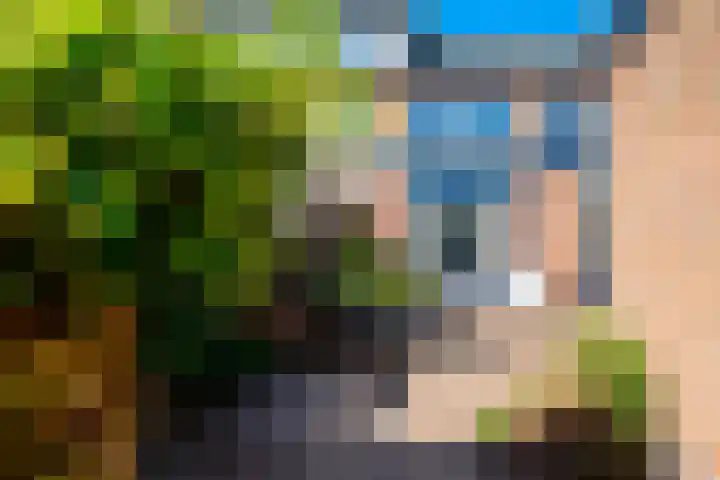 Mauritiusstraat 35 Rheden thumbnail 17