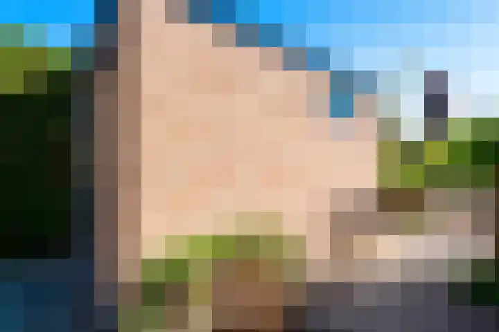 Mauritiusstraat 35 Rheden thumbnail 18