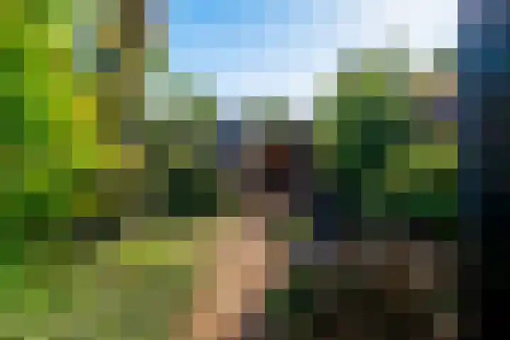 Mauritiusstraat 35 Rheden thumbnail 22