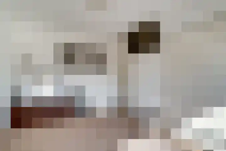 Mauritiusstraat 35 Rheden thumbnail 30