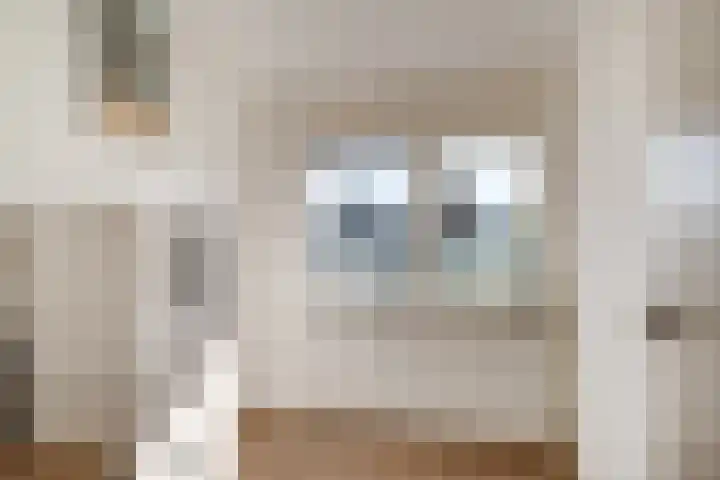 Mauritiusstraat 35 Rheden thumbnail 33