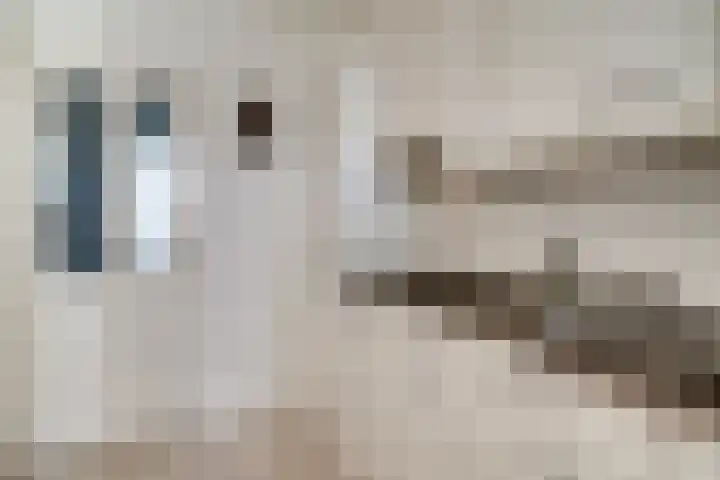 Mauritiusstraat 35 Rheden thumbnail 4