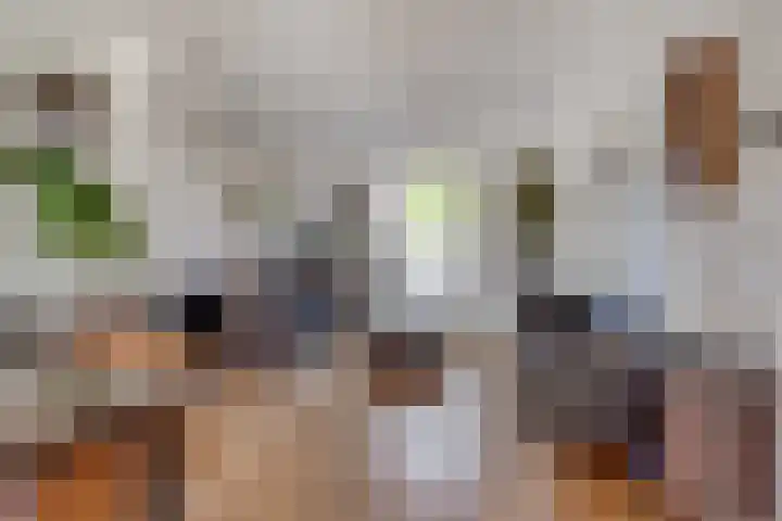 Mauritiusstraat 35 Rheden thumbnail 7