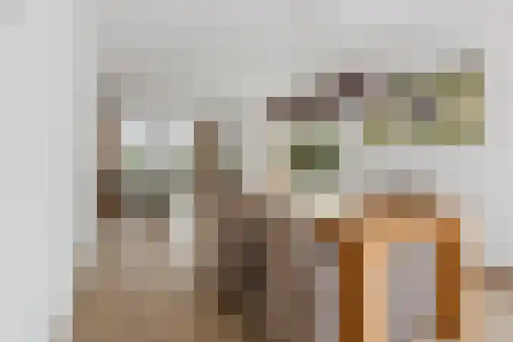 Mauritiusstraat 5 Langeweg thumbnail 11