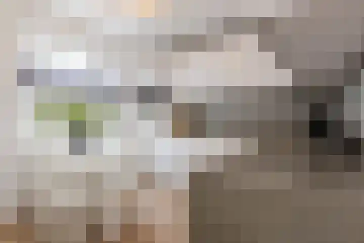 Mauritiusstraat 5 Langeweg thumbnail 13