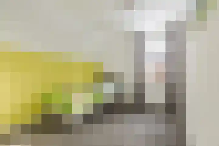 Mauritiusstraat 5 Langeweg thumbnail 18