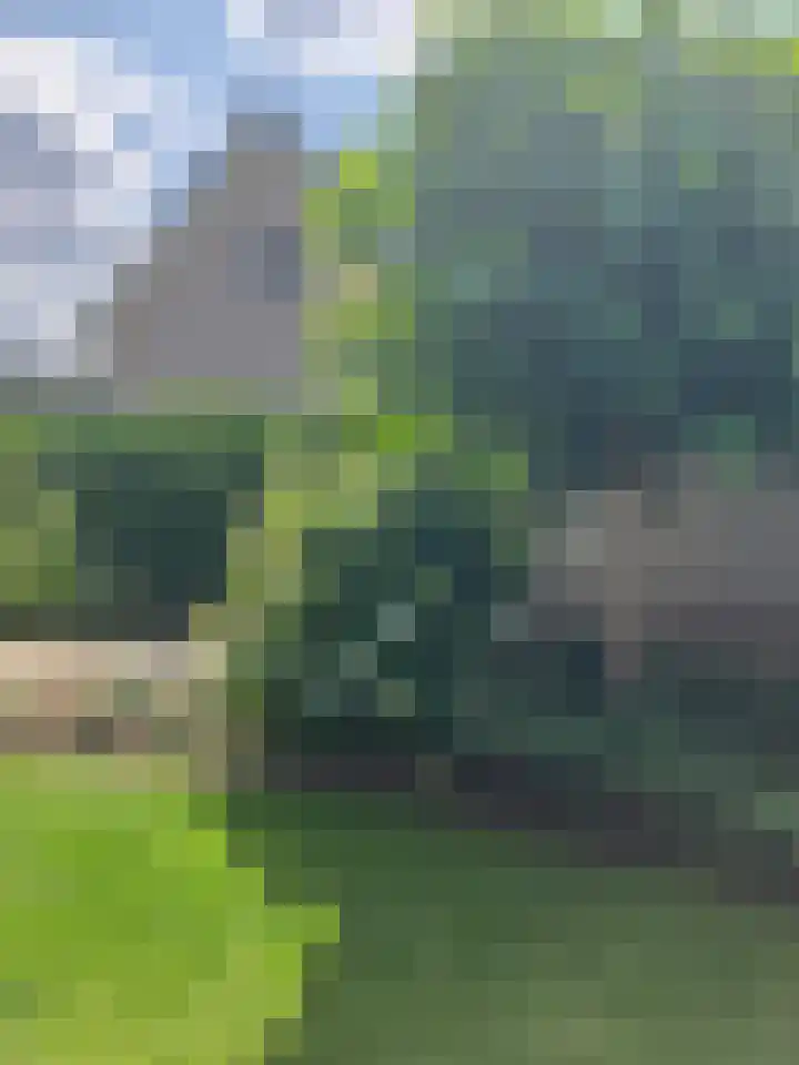 Mauritiusstraat 5 Langeweg thumbnail 30