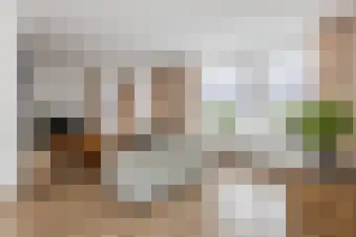 Mauritiusstraat 5 Langeweg thumbnail 6