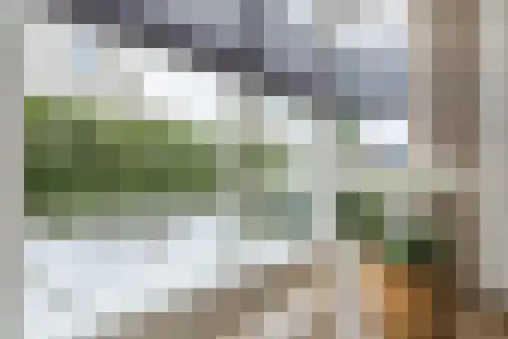 Mauritiusstraat 5 Langeweg thumbnail 9