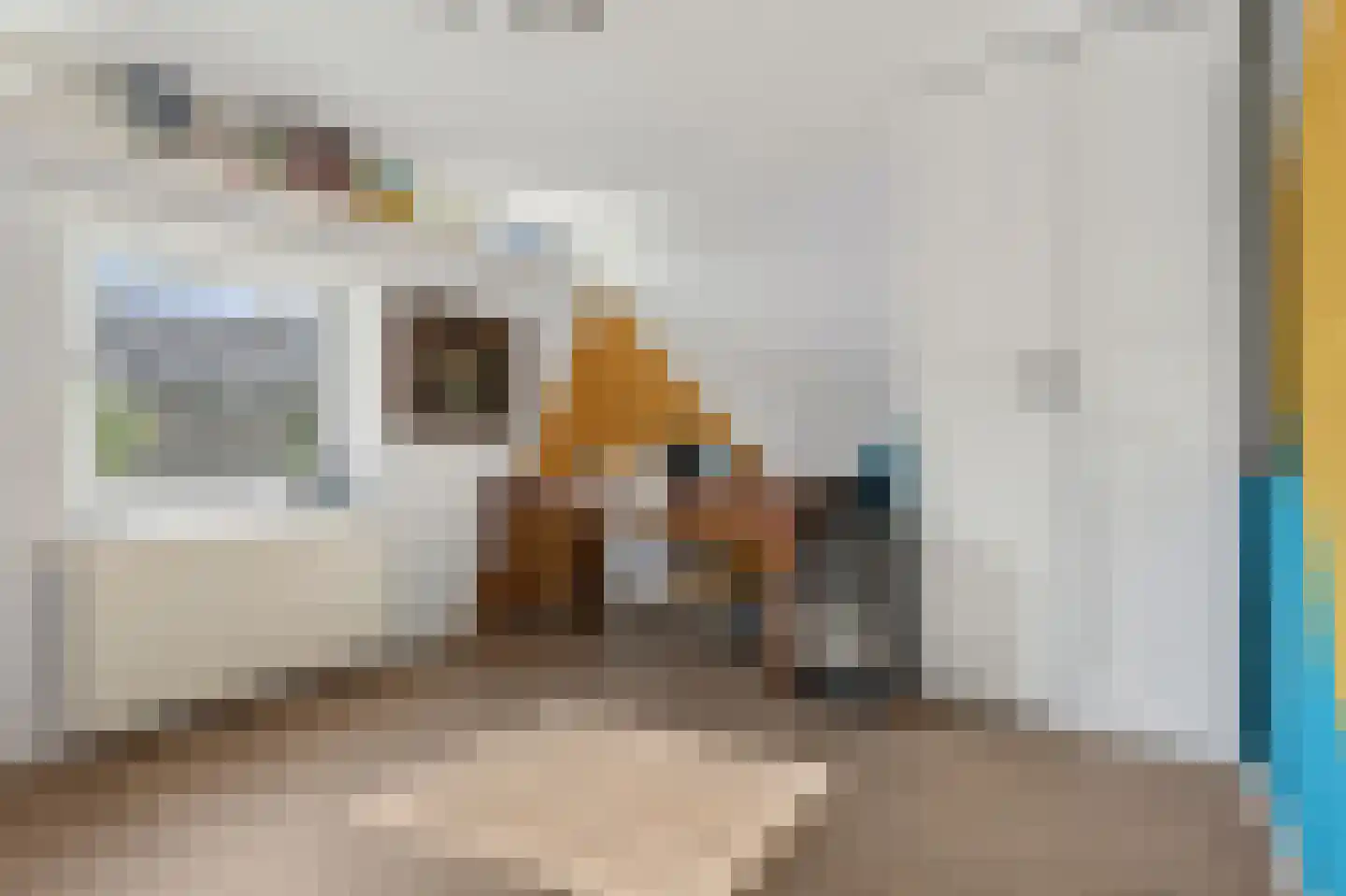 Mauritiusstraat 5 Rheden thumbnail 13