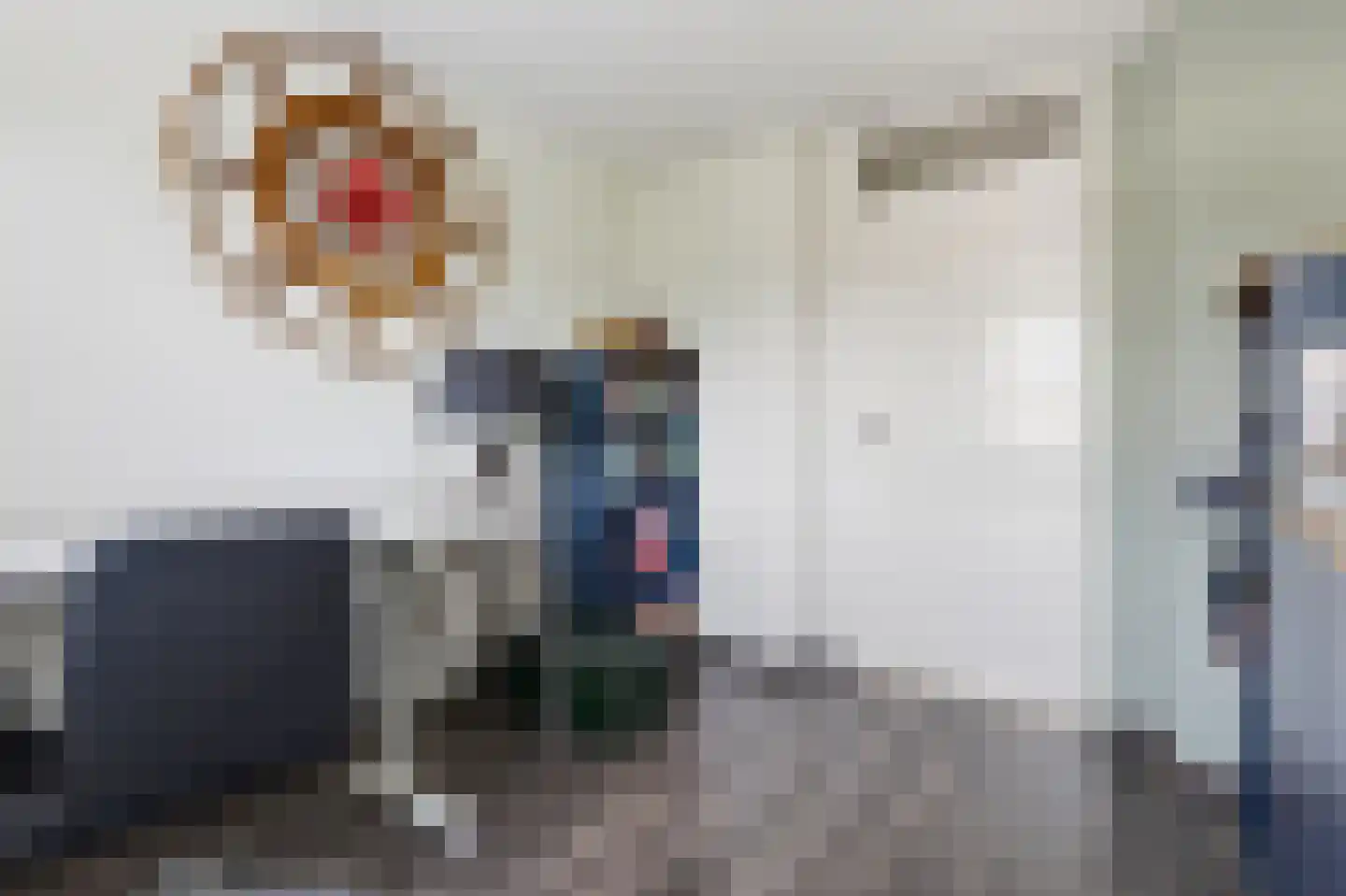 Mauritiusstraat 5 Rheden thumbnail 16
