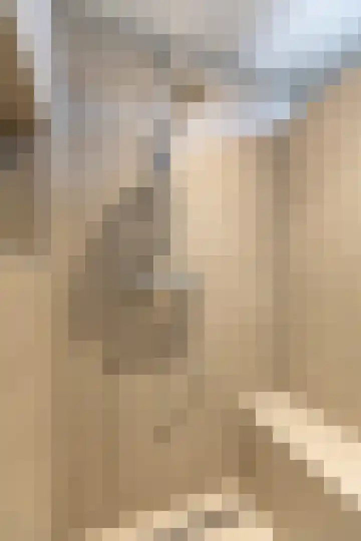 Mauritiusstraat 5 Rheden thumbnail 27