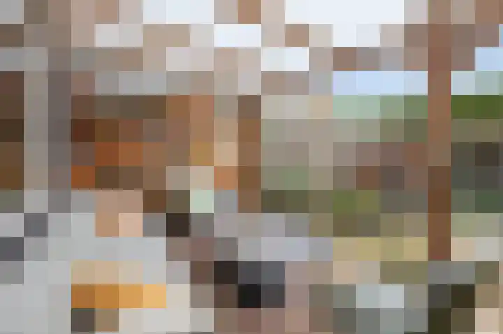 Mauritiusstraat 5 Rheden thumbnail 35