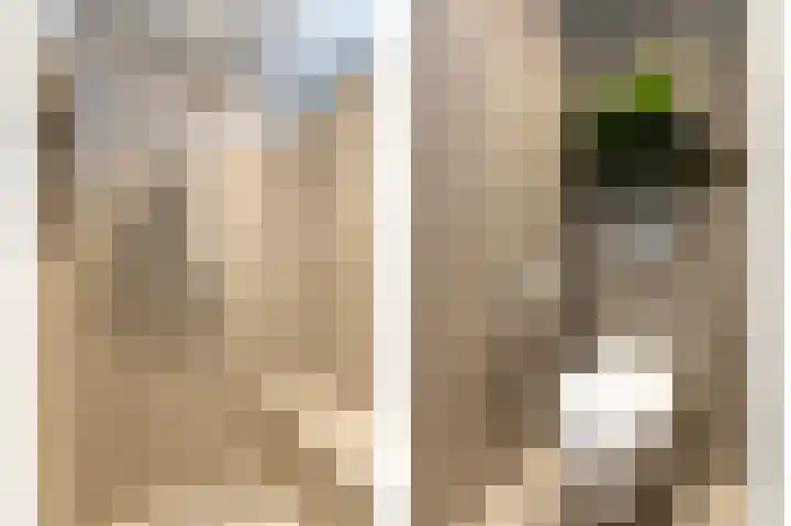 Mauritiusstraat 5 Rheden thumbnail 4